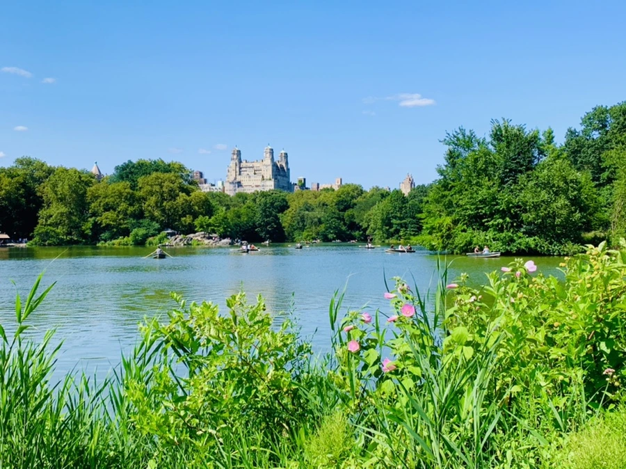 IMG_4449.jpg?type=w966