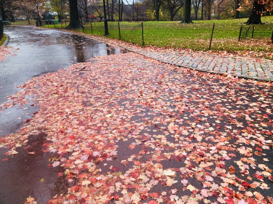 IMG_5728.jpg?type=w966