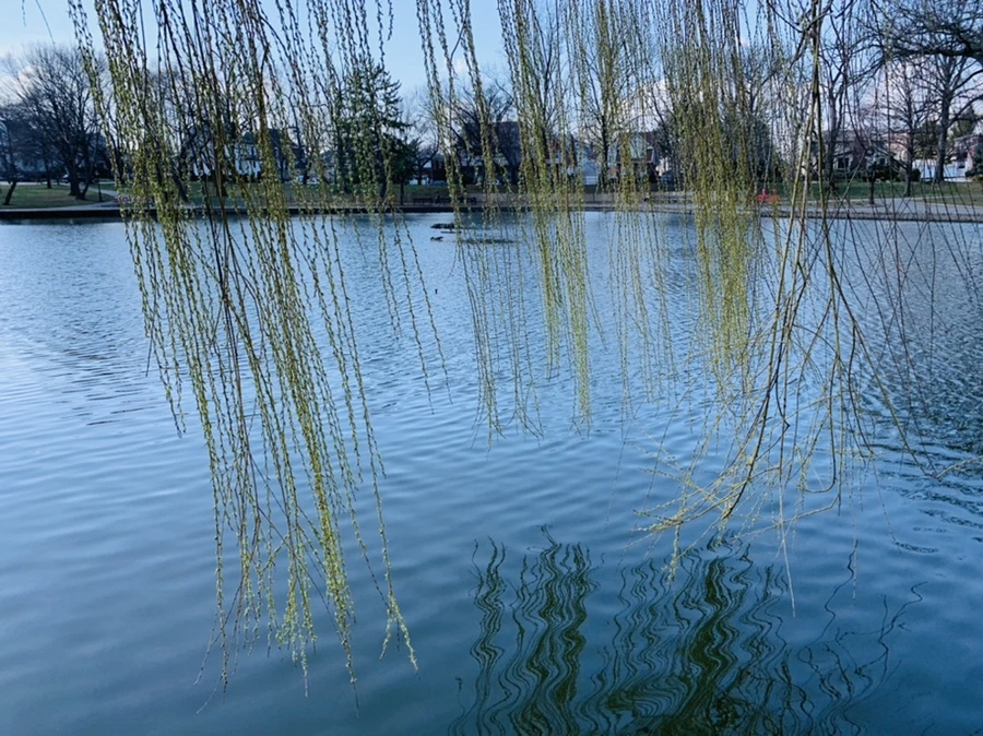 IMG_4423.jpg?type=w966