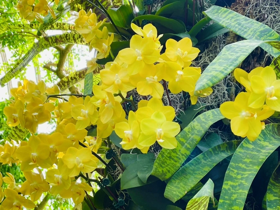 IMG_4442.jpg?type=w966