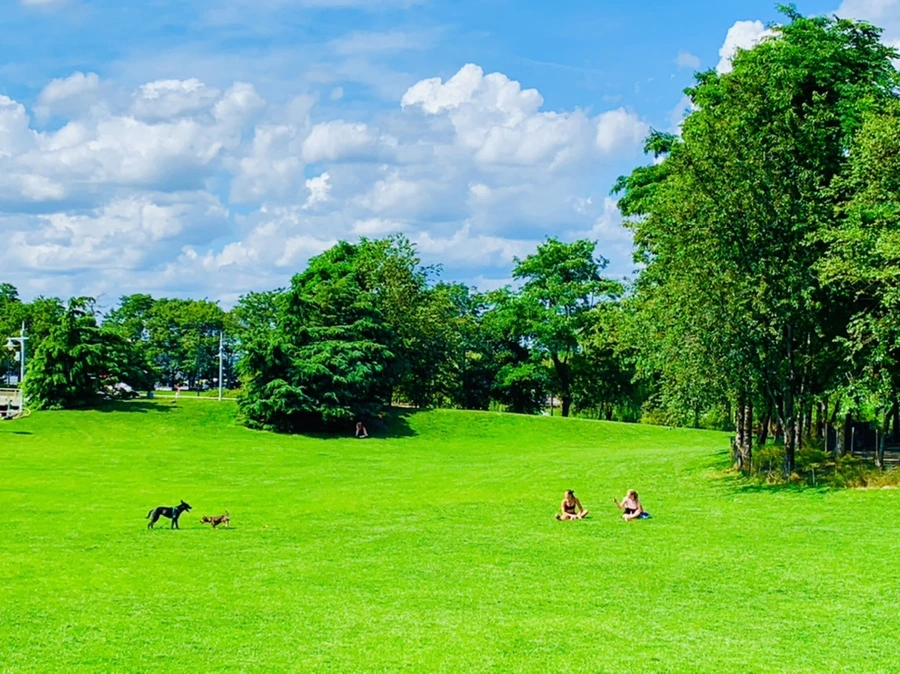 IMG_2911.jpg?type=w966