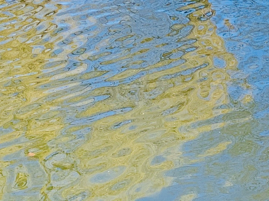 IMG_0634.jpg?type=w966