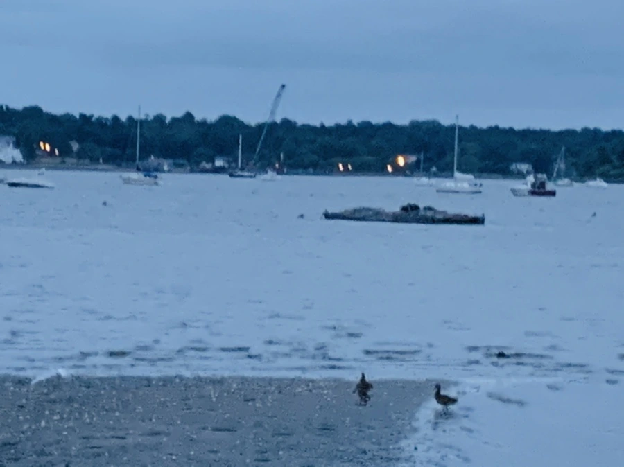 IMG_6727.jpg?type=w966