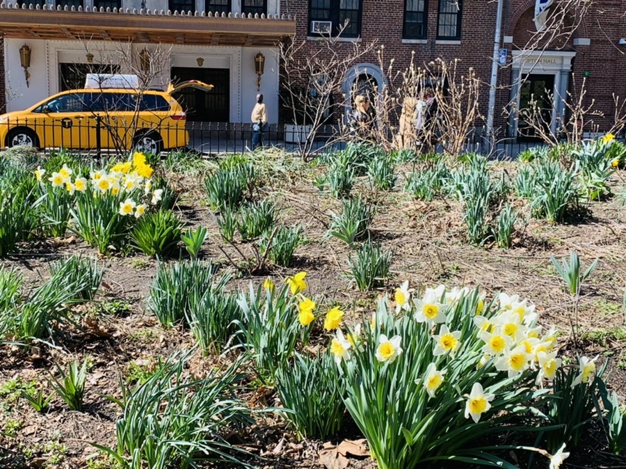 IMG_5372.jpg?type=w966