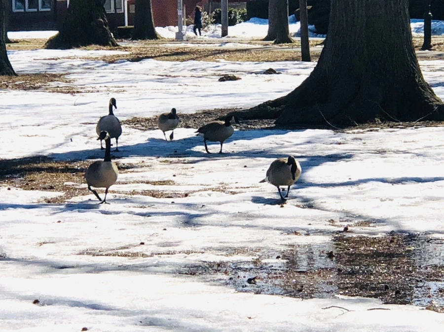 IMG_4648.jpg?type=w966