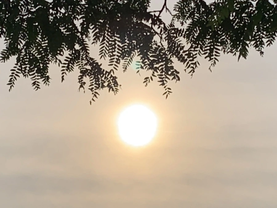 IMG_6549.jpg?type=w966