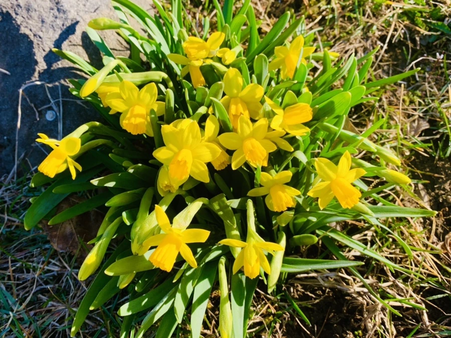 IMG_2569.jpg?type=w966