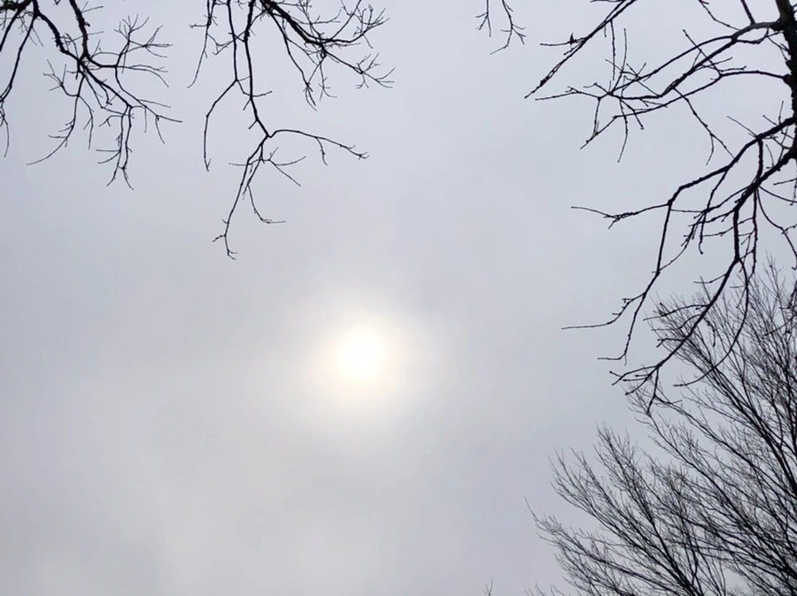 IMG_4415.jpg?type=w966