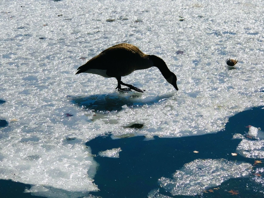 IMG_5040.jpg?type=w966