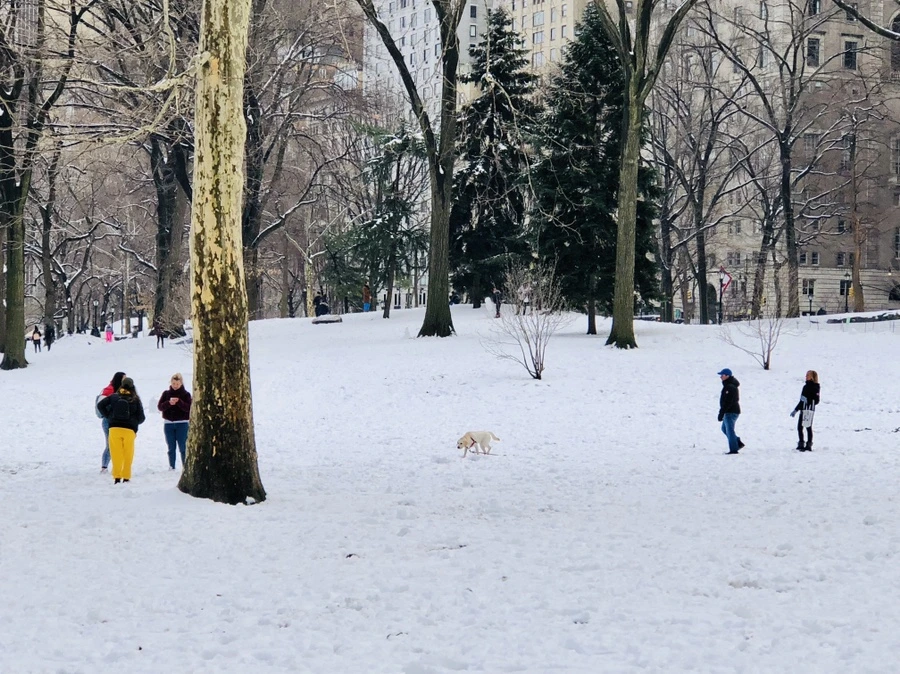 IMG_0398.jpg?type=w966