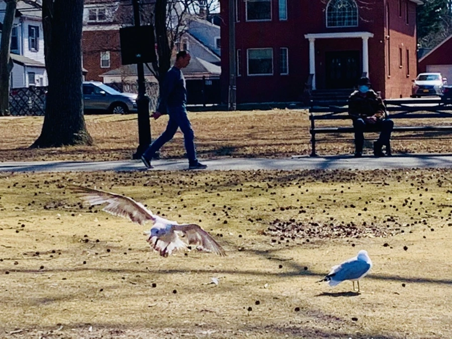 IMG_9294.jpg?type=w966