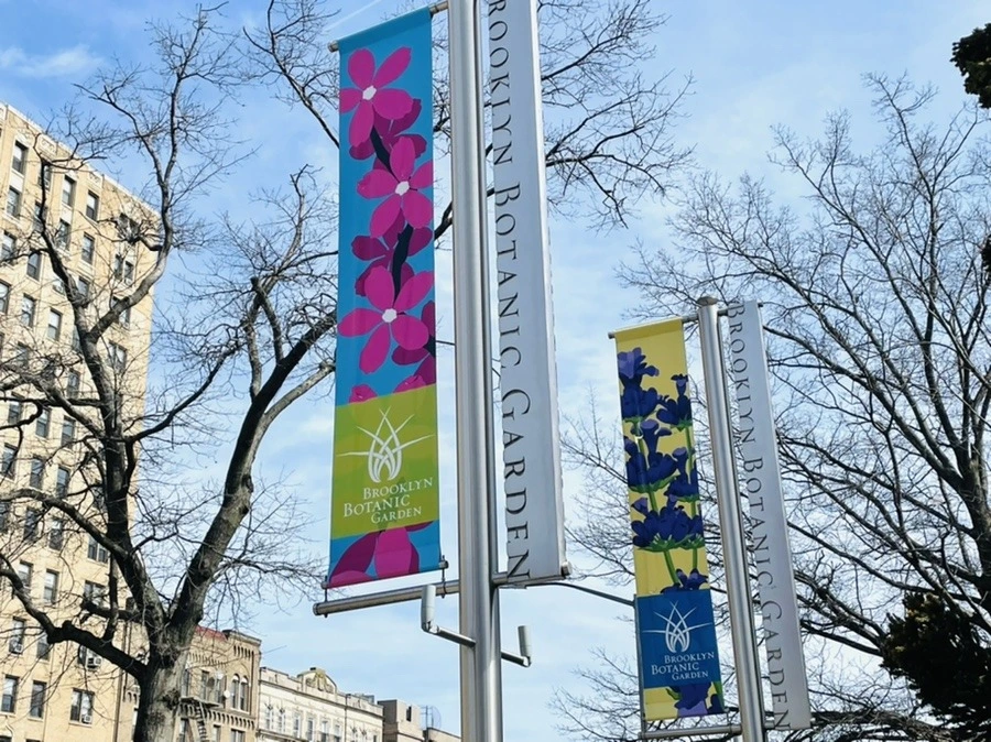 7DVy9jdxJP2CbQOp9l_GgtIwffM