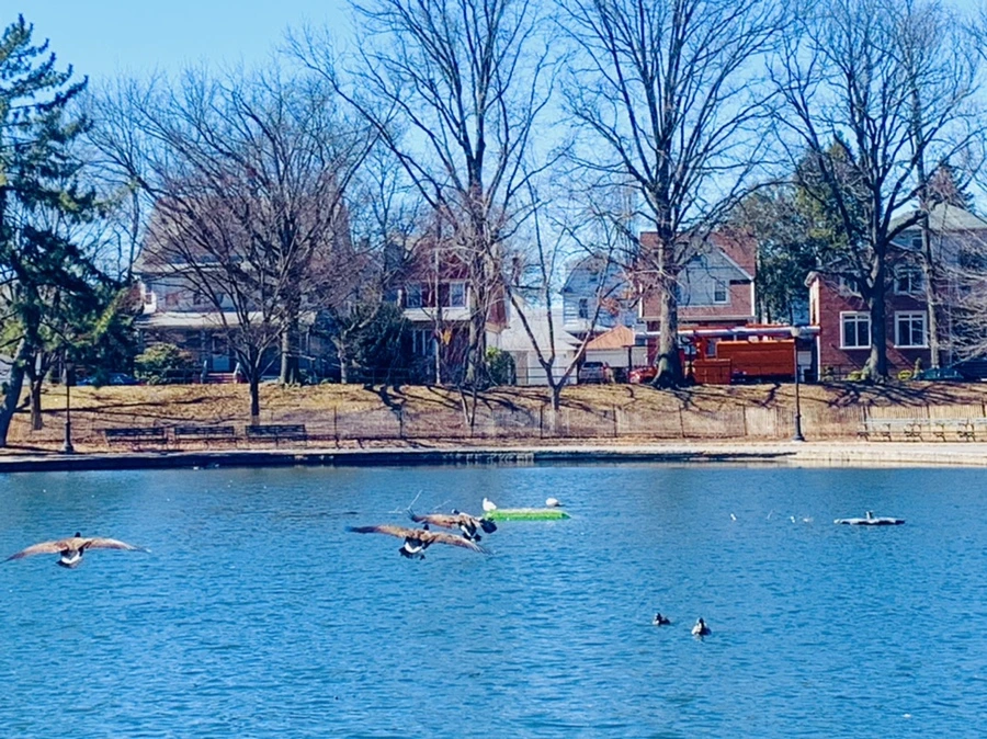 IMG_6737.jpg?type=w966