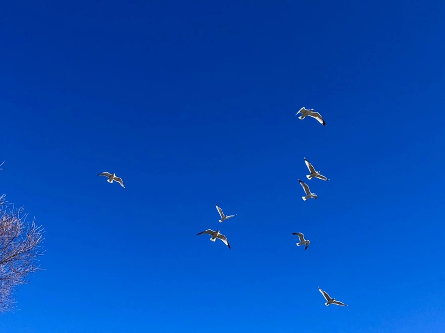 IMG_7851.jpg?type=w966