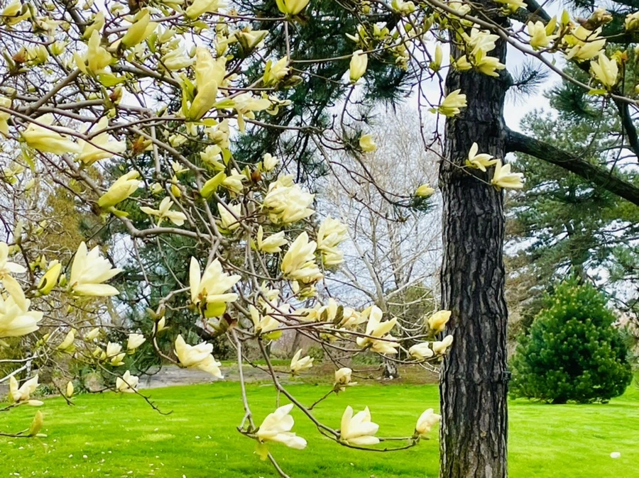 IMG_1300.jpg?type=w966