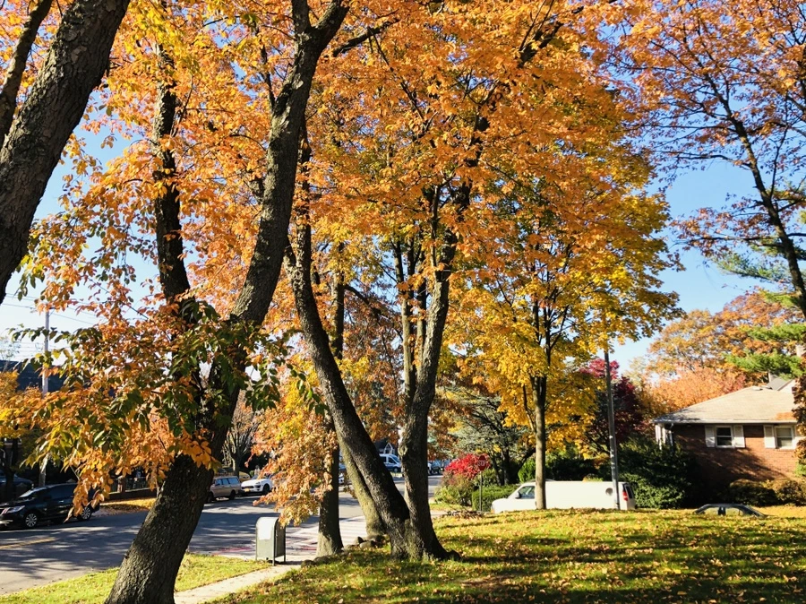 IMG_4140.jpg?type=w966