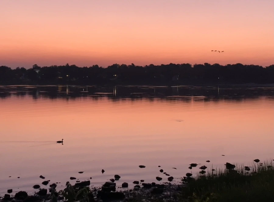 IMG_4316.jpg?type=w966