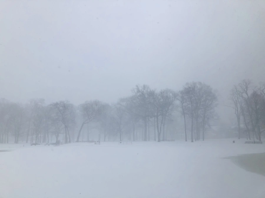 IMG_8832.jpg?type=w966