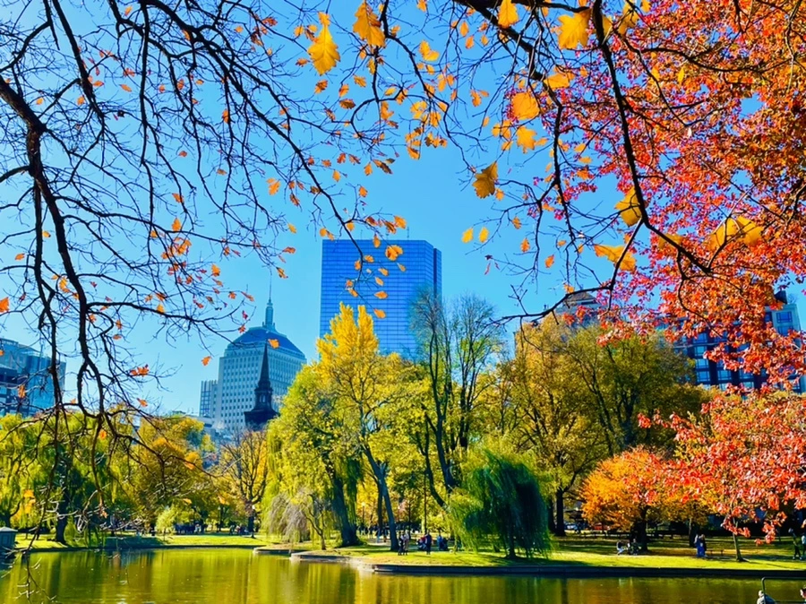 IMG_2606.jpg?type=w966