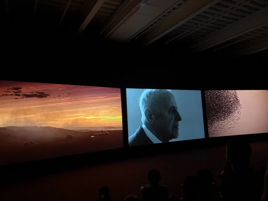 IMG_3594.jpg?type=w966