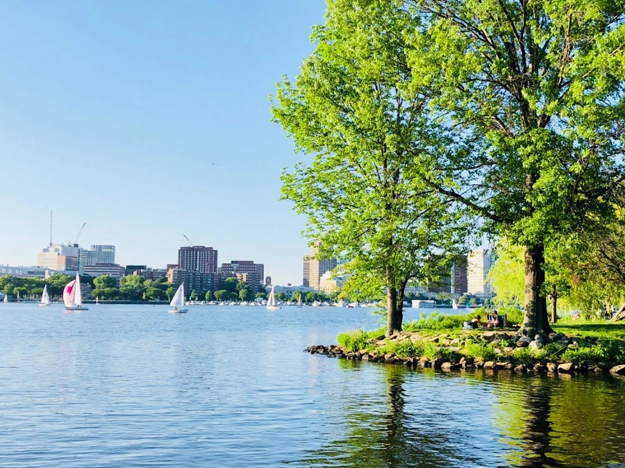 IMG_6776.jpg?type=w966