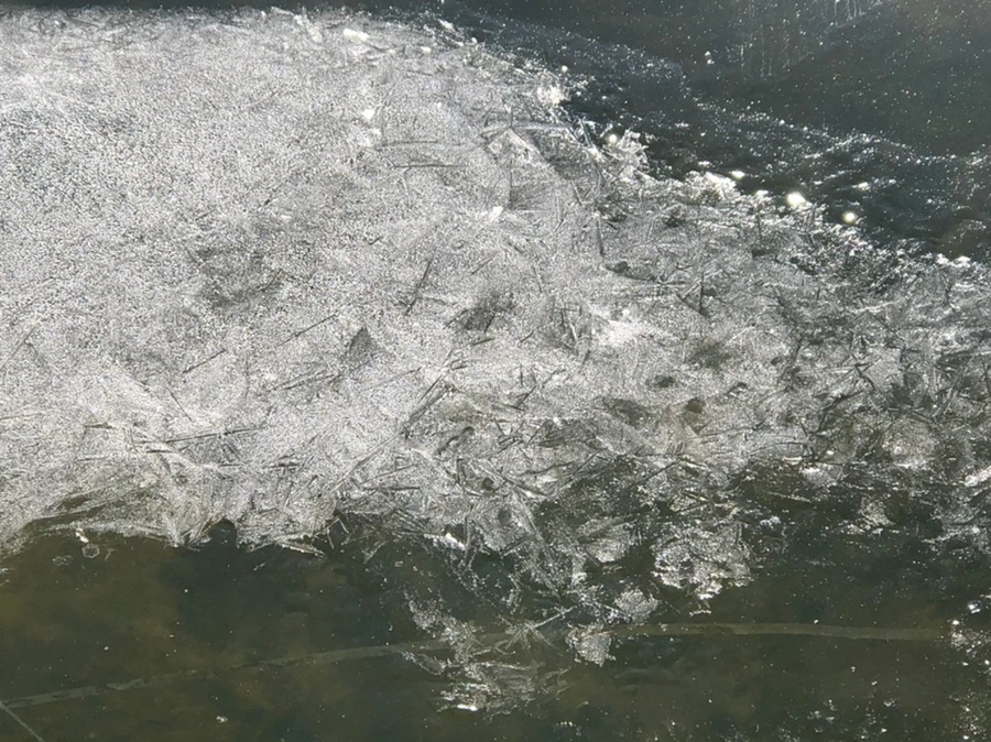 IMG_7901.jpg?type=w966