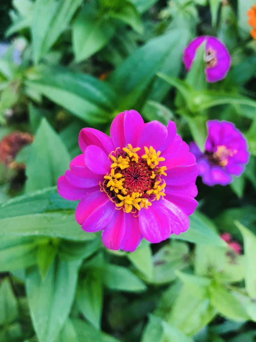 IMG_3636.jpg?type=w966