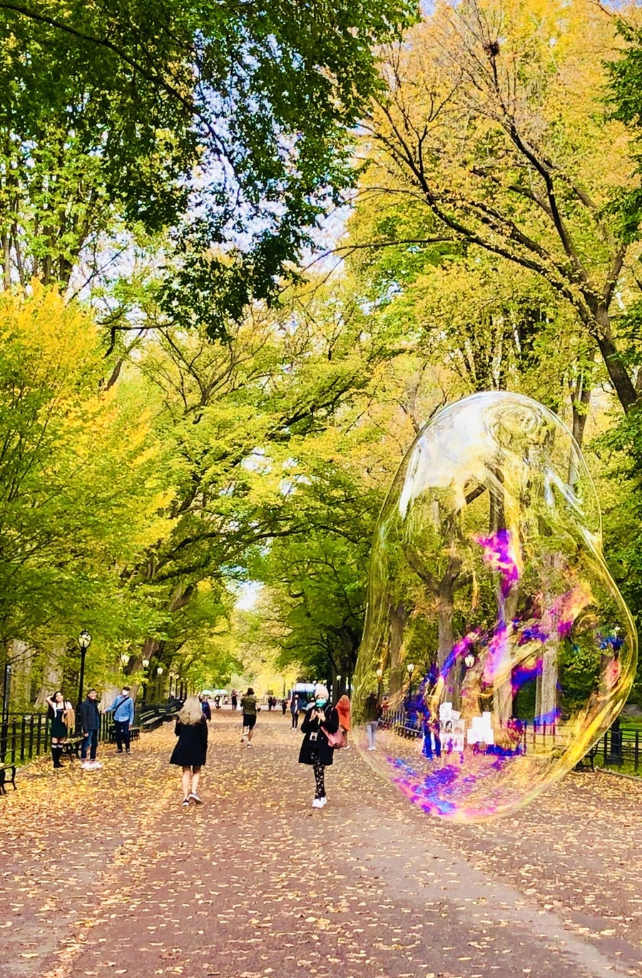 IMG_3013.jpg?type=w966