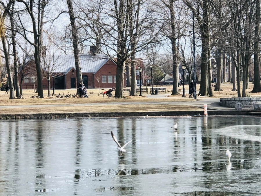 IMG_5706.jpg?type=w966