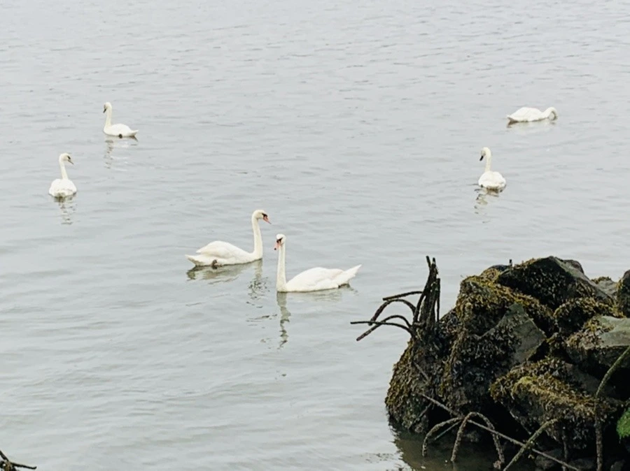 qq4lOrz3trsUeOXfH2BeqFgqpzk