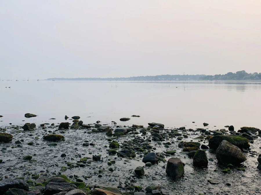 IMG_8432.jpg?type=w966