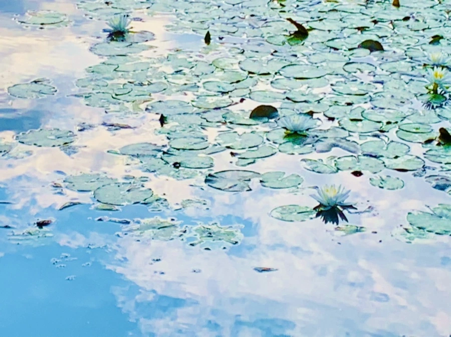 IMG_5841.jpg?type=w966