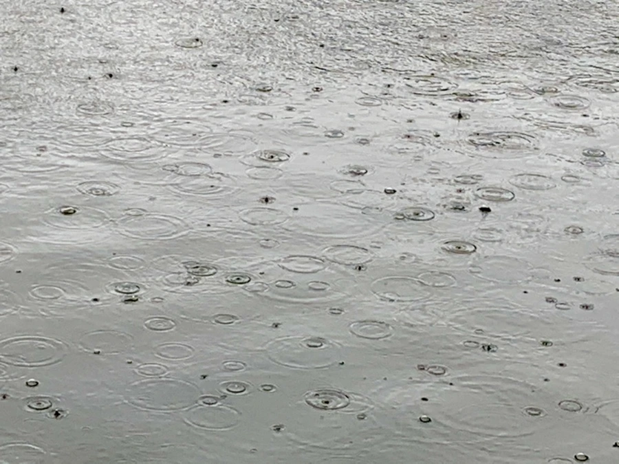 IMG_2087.jpg?type=w966