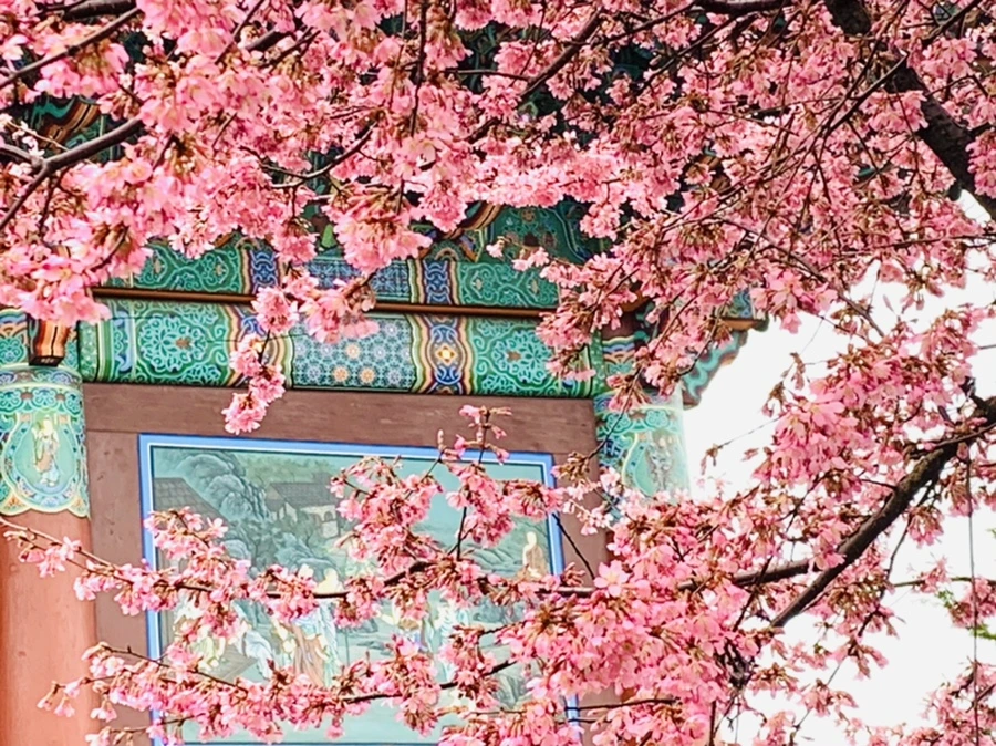 IMG_5231.jpg?type=w966