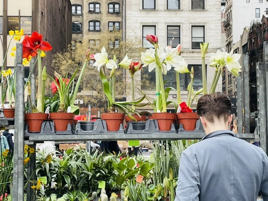 arVw9oQMAj4Uxauc6SJWcUcFr9c