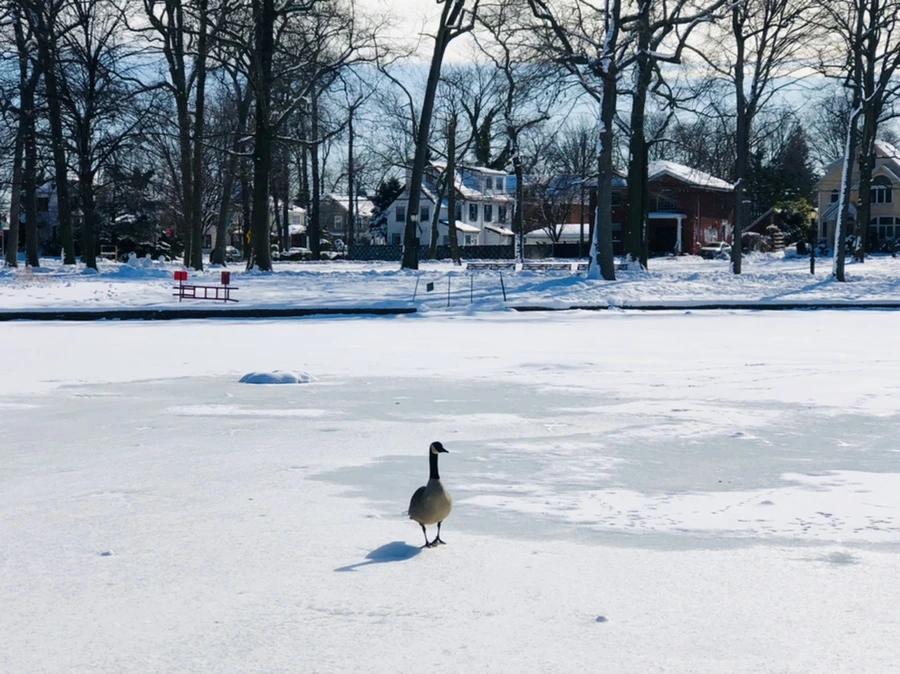 IMG_1339.jpg?type=w966