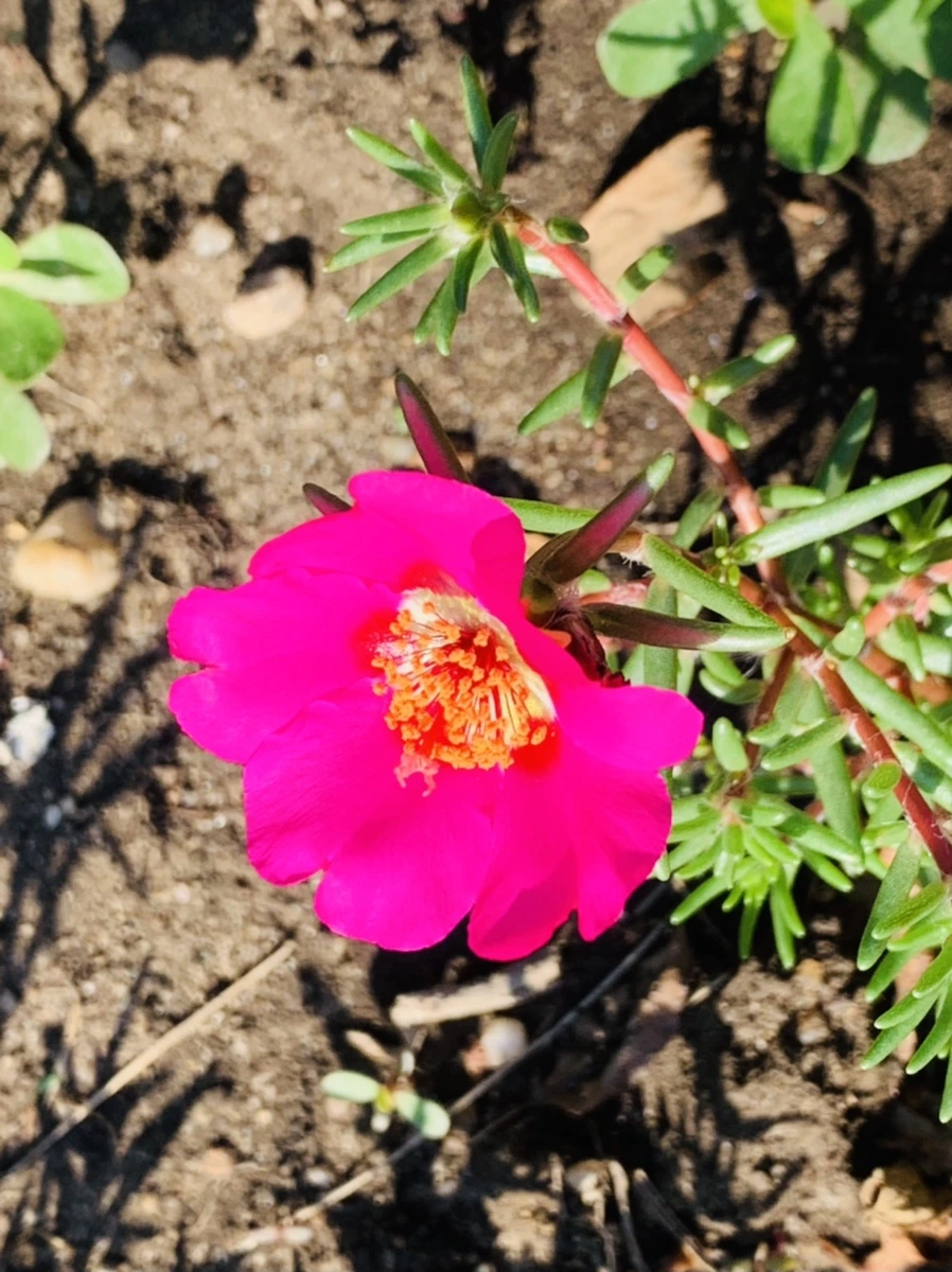 IMG_8420.jpg?type=w966