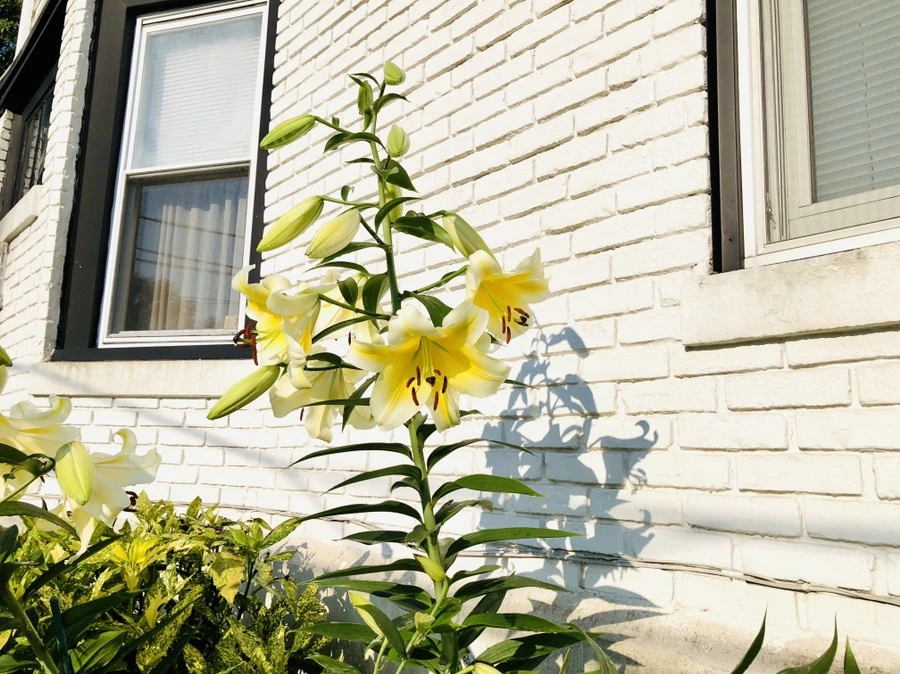 IMG_1919.jpg?type=w966