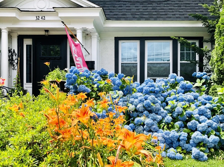 IMG_0922.jpg?type=w966