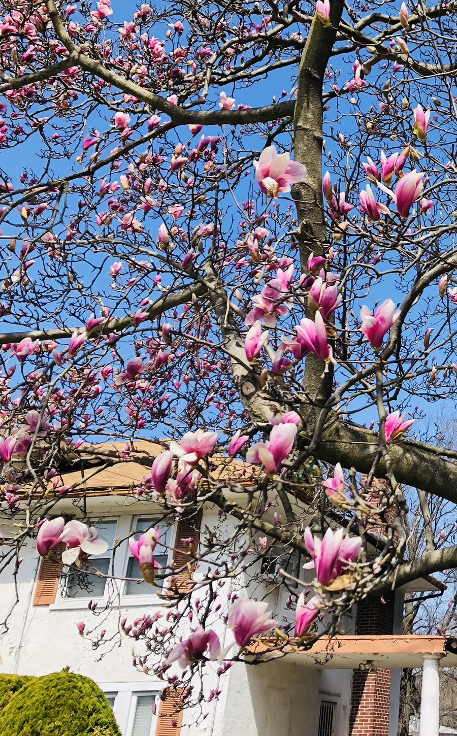 IMG_2301.jpg?type=w966