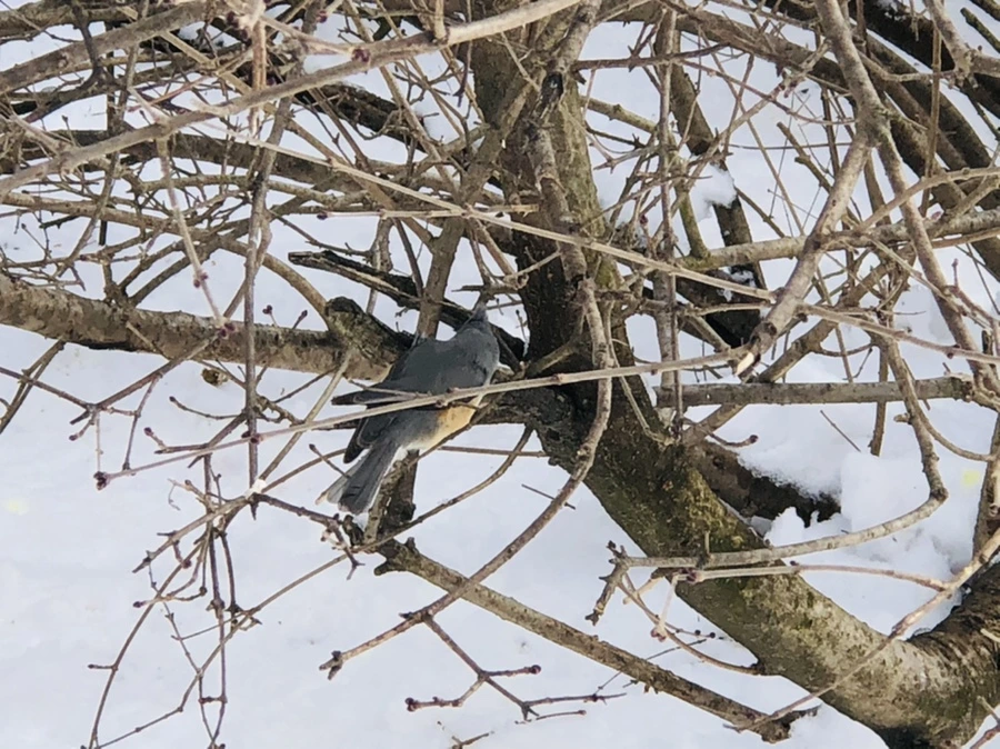 IMG_9329.jpg?type=w966