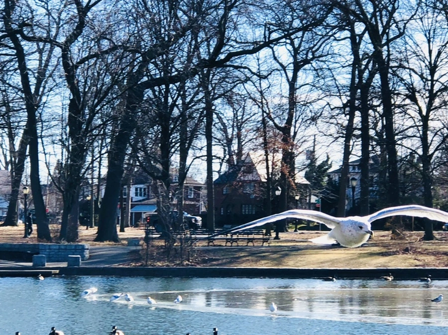 IMG_5430.jpg?type=w966