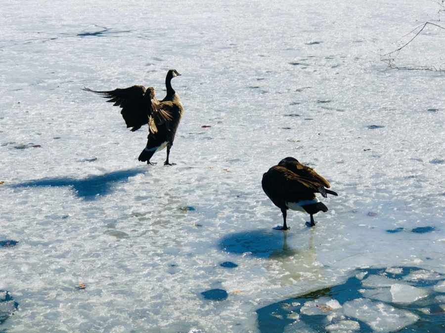 IMG_5305.jpg?type=w966