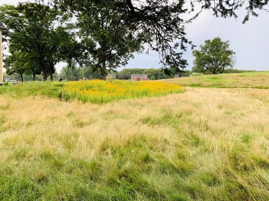 qepZEZSQYFSRJYDQmgTPleWHCyw