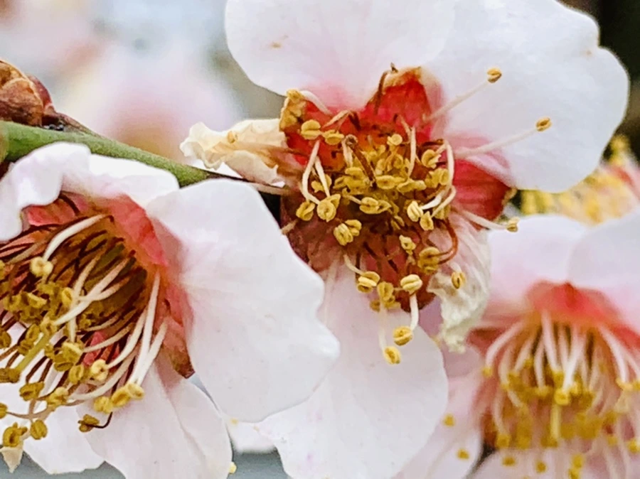 IMG_3634.jpg?type=w966