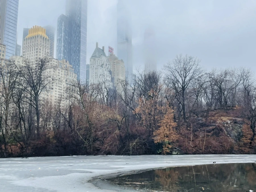 IMG_1576.jpg?type=w966