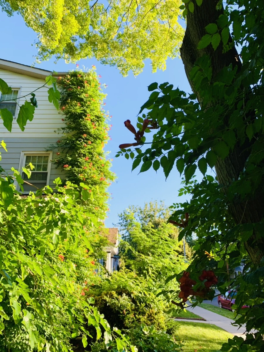 IMG_6218.jpg?type=w966