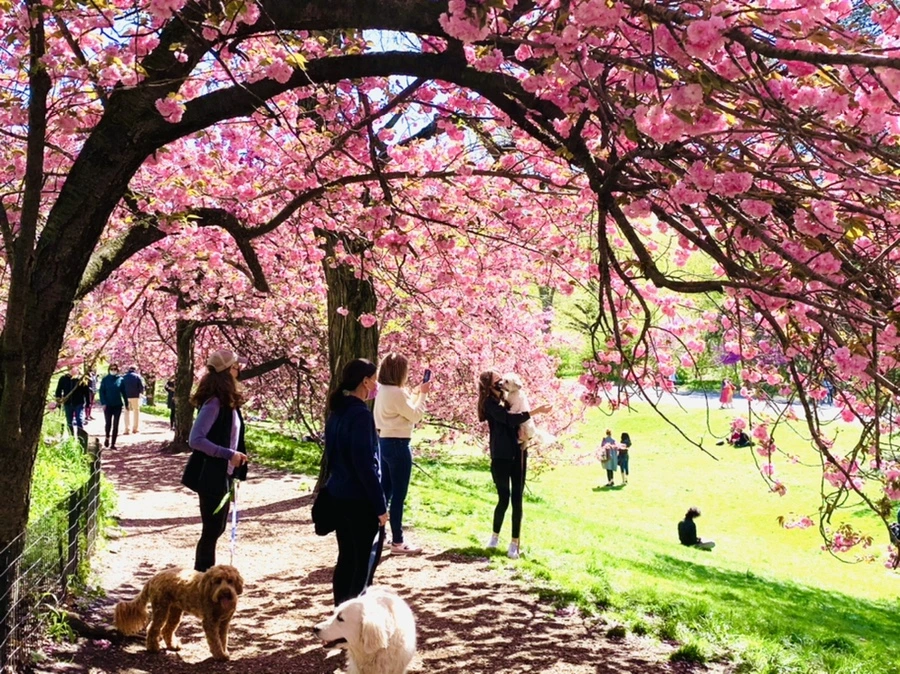 IMG_5902.jpg?type=w966