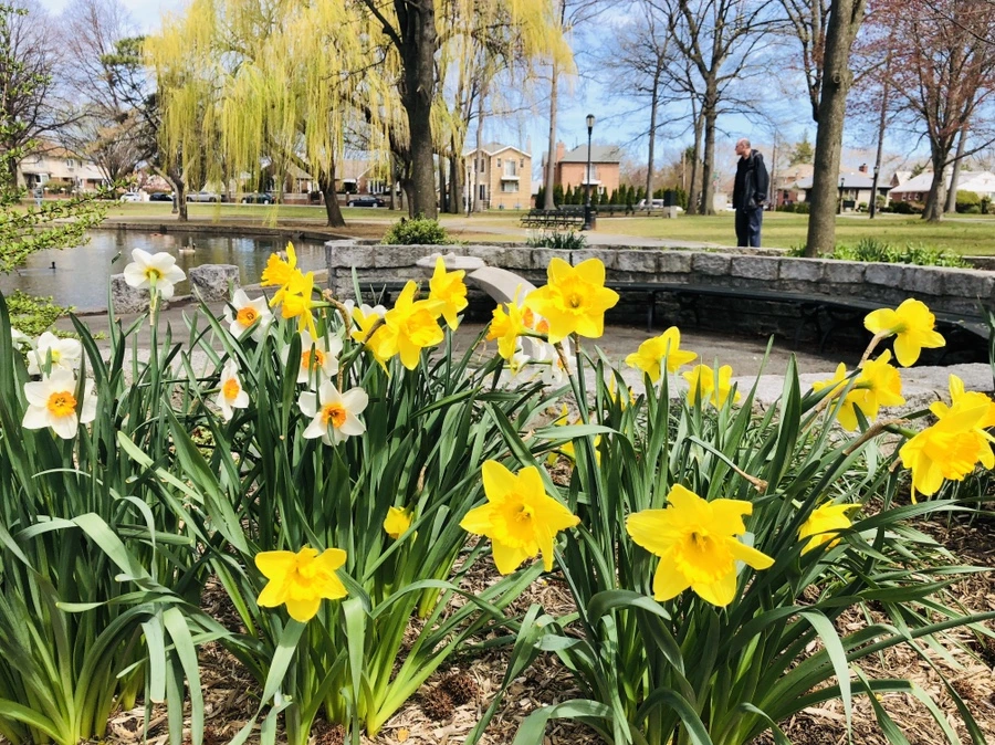 IMG_3089.jpg?type=w966