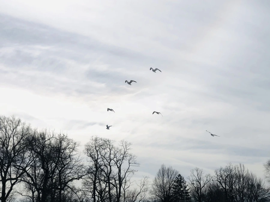 IMG_3211.jpg?type=w966